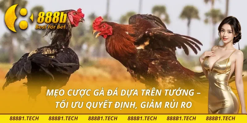 Mẹo xem tướng đá gà trên 888B