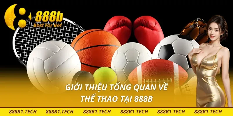 Tìm hiểu tổng quan về Thể Thao 888B