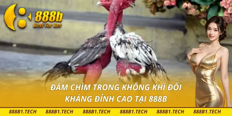 Trải nghiệm hay, vượt trội chỉ có tại 888B